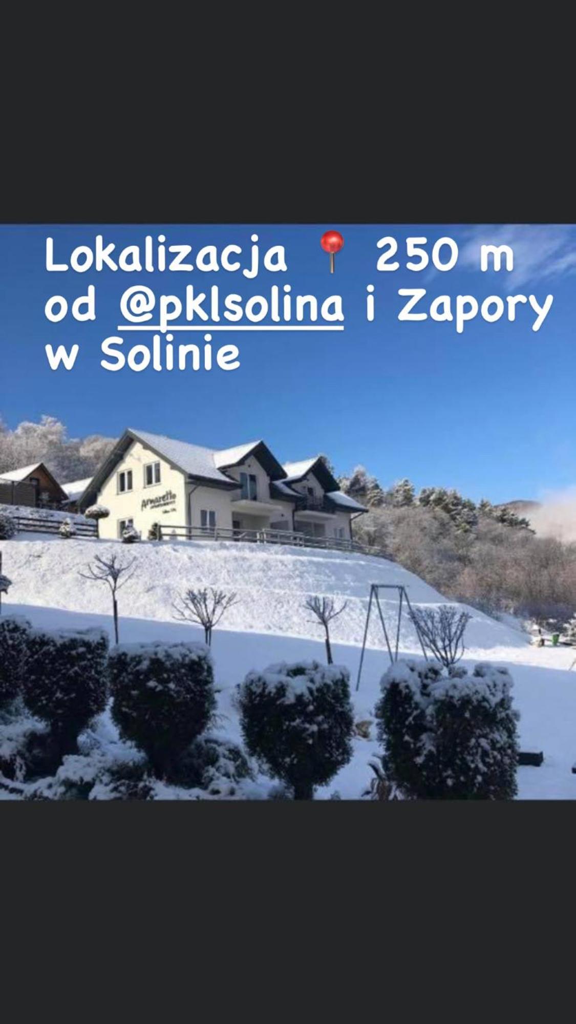 Amaretto Apartamenty Solina - Balia Z Jacuzzi I Sauna ソリナ エクステリア 写真