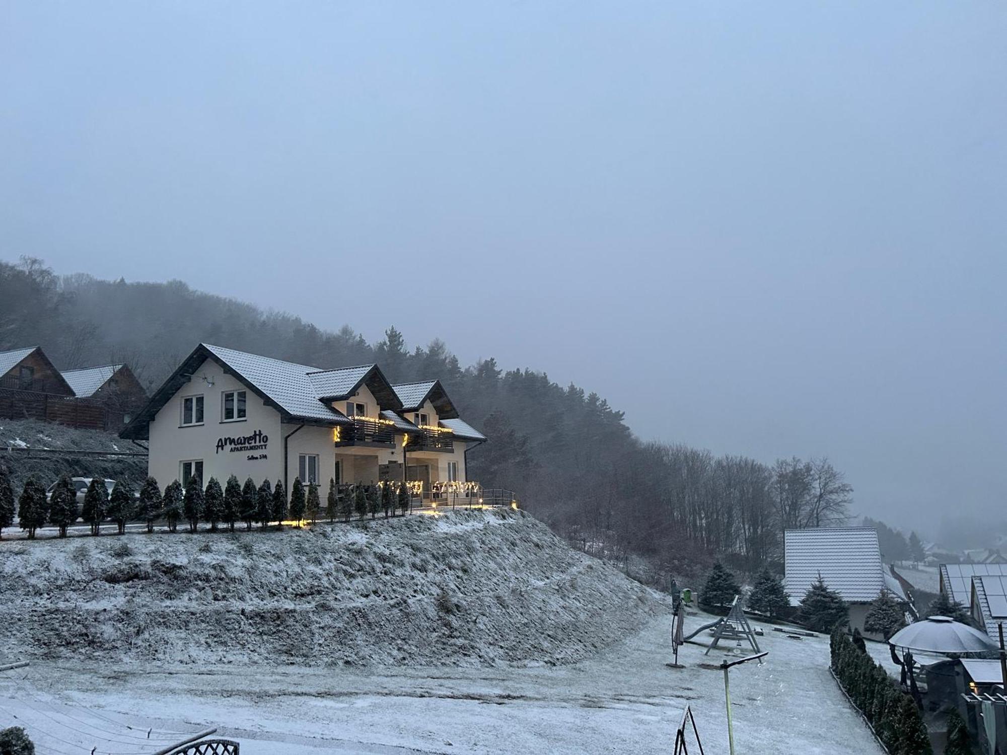 Amaretto Apartamenty Solina - Balia Z Jacuzzi I Sauna ソリナ エクステリア 写真