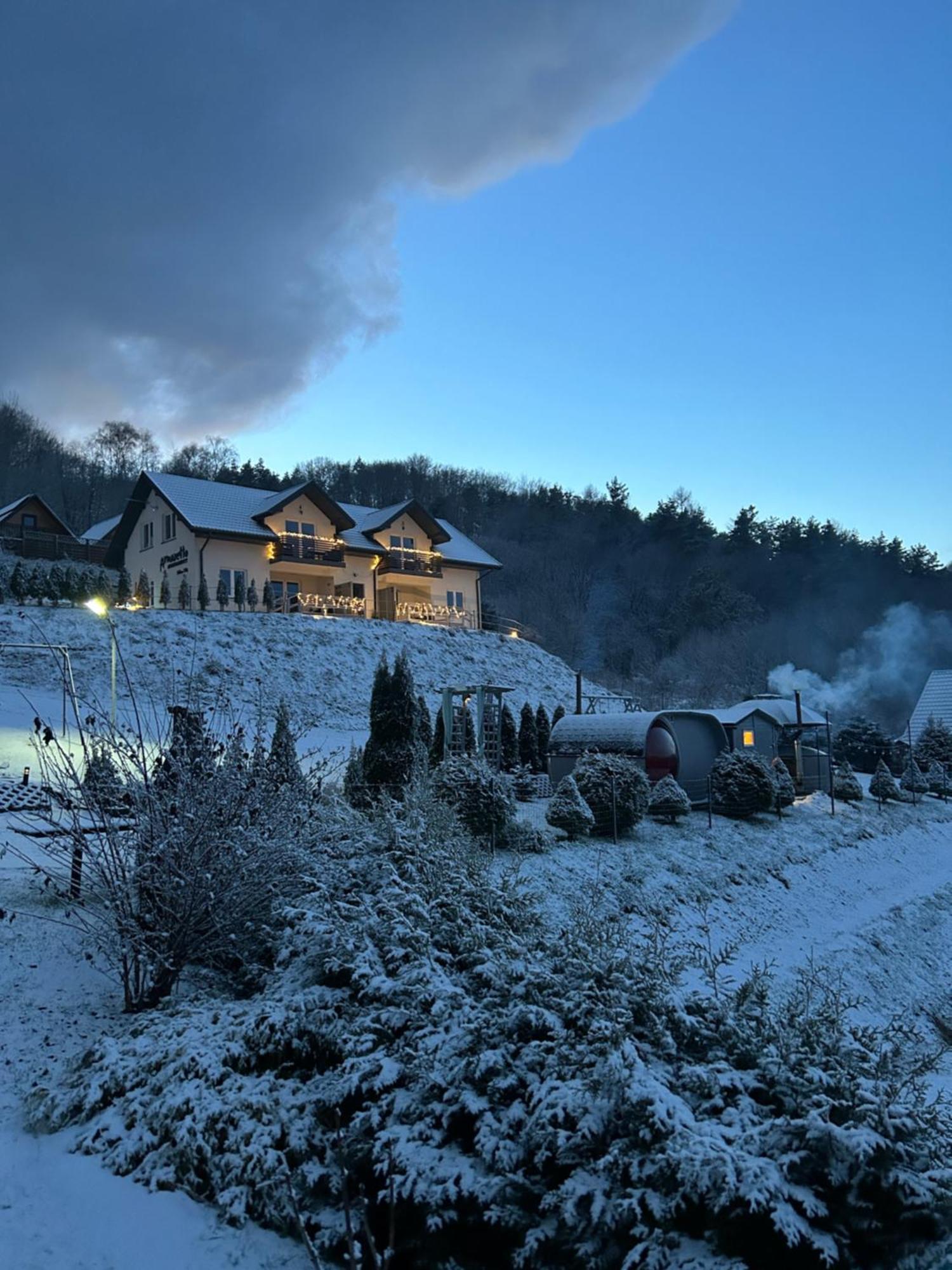 Amaretto Apartamenty Solina - Balia Z Jacuzzi I Sauna ソリナ エクステリア 写真